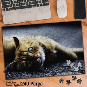 Asil Hobi Yerde Yatan Sarı Tüylü Kedi-Hayvan Yapboz-Ayak Destekli Çerçeveli 240 Parça Puzzle
