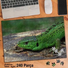 Asil Hobi Yeşil Kertenkele-Sürüngen-Hayvan-Doğa Yapboz-Ayak Destekli Çerçeveli 240 Parça Puzzle