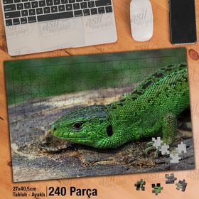Asil Hobi Yeşil Kertenkele-Sürüngen-Hayvan-Doğa Yapboz-Ayak Destekli Çerçeveli 240 Parça Puzzle