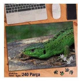 Asil Hobi Yeşil Kertenkele-Sürüngen-Hayvan-Doğa Yapboz-Ayak Destekli Çerçeveli 240 Parça Puzzle
