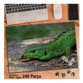 Asil Hobi Yeşil Kertenkele-Sürüngen-Hayvan-Doğa Yapboz-Ayak Destekli Çerçeveli 240 Parça Puzzle
