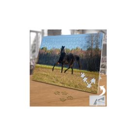 Asilmeydan 455401466 240 Parça Siyah Asil At Puzzle Yapboz Tablo