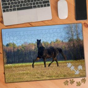 Asilmeydan 455401466 240 Parça Siyah Asil At Puzzle Yapboz Tablo