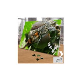 Asilmeydan 455433949 240 Parça Sinek Makro Çekim Hayvan Puzzle Yapboz Tablo