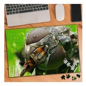 Asilmeydan 455433949 240 Parça Sinek Makro Çekim Hayvan Puzzle Yapboz Tablo