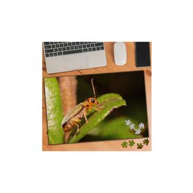 Asilmeydan 455437724 240 Parça Yaprakta Böcek Doğa Puzzle Yapboz Tablo