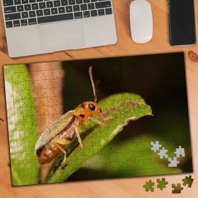 Asilmeydan 455437724 240 Parça Yaprakta Böcek Doğa Puzzle Yapboz Tablo