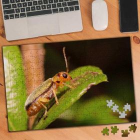 Asilmeydan 455437724 240 Parça Yaprakta Böcek Doğa Puzzle Yapboz Tablo