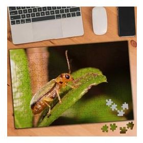 Asilmeydan 455437724 240 Parça Yaprakta Böcek Doğa Puzzle Yapboz Tablo