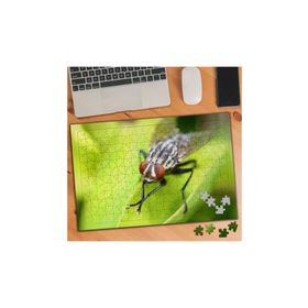 Asilmeydan 455438038 240 Parça Elini Sürten Siyah Sinek Puzzle Yapboz Tablo