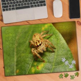 Asilmeydan 455438640 240 Parça Tüylü Örümcek Hayvan Puzzle Yapboz Tablo