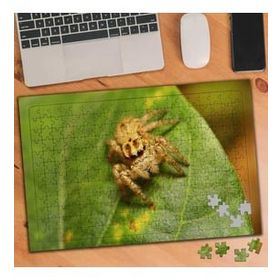 Asilmeydan 455438640 240 Parça Tüylü Örümcek Hayvan Puzzle Yapboz Tablo