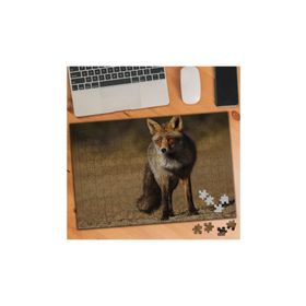 Asilmeydan 455726371 240 Parça Çölde Kızıl Tilki Puzzle Yapboz Tablo