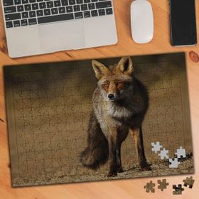 Asilmeydan 455726371 240 Parça Çölde Kızıl Tilki Puzzle Yapboz Tablo