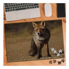 Asilmeydan 455726371 240 Parça Çölde Kızıl Tilki Puzzle Yapboz Tablo