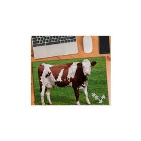 Asilmeydan 455901132 240 Parça Çayırda Maine Anjou Inek Puzzle Yapboz Tablo
