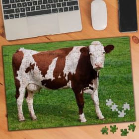 Asilmeydan 455901132 240 Parça Çayırda Maine Anjou Inek Puzzle Yapboz Tablo