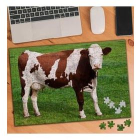 Asilmeydan 455901132 240 Parça Çayırda Maine Anjou Inek Puzzle Yapboz Tablo