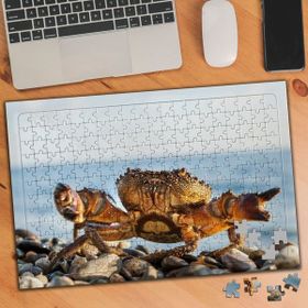 Asilmeydan 455909805 240 Parça Sahilde Tombul Yengeç Puzzle Yapboz Tablo