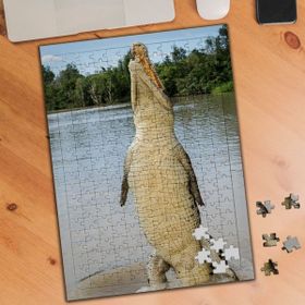 Asilmeydan 455937852 240 Parça Ayakta Duran Timsah Puzzle Yapboz Tablo