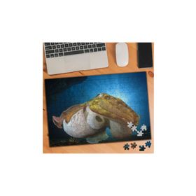 Asilmeydan 455938700 240 Parça Su Altında Mürekkep Balığı Puzzle Yapboz Tablo
