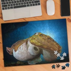 Asilmeydan 455938700 240 Parça Su Altında Mürekkep Balığı Puzzle Yapboz Tablo