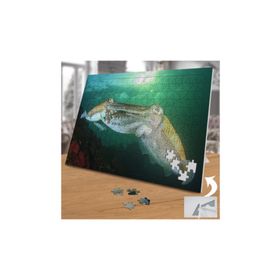 Asilmeydan 455940114 240 Parça Su Altında Ahtapotlar Puzzle Yapboz Tablo