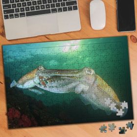 Asilmeydan 455940114 240 Parça Su Altında Ahtapotlar Puzzle Yapboz Tablo