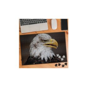 Asilmeydan 455959094 240 Parça Yırtıcı Kuş Kartal Puzzle Yapboz Tablo