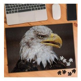 Asilmeydan 455959094 240 Parça Yırtıcı Kuş Kartal Puzzle Yapboz Tablo