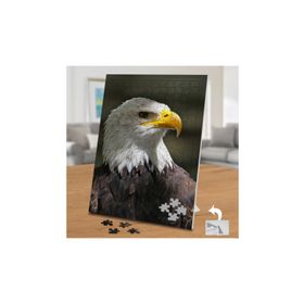 Asilmeydan 455960710 240 Parça Asil Kuş Vahşi Kartal Puzzle Yapboz Tablo