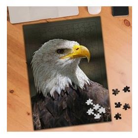 Asilmeydan 455960710 240 Parça Asil Kuş Vahşi Kartal Puzzle Yapboz Tablo