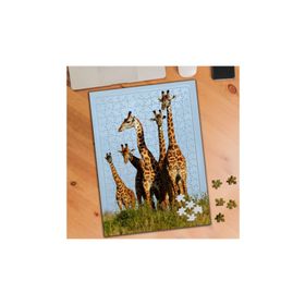 Asilmeydan 456185322 240 Parça Arazide Zürafa Ailesi Puzzle Yapboz Tablo