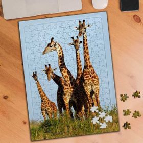 Asilmeydan 456185322 240 Parça Arazide Zürafa Ailesi Puzzle Yapboz Tablo