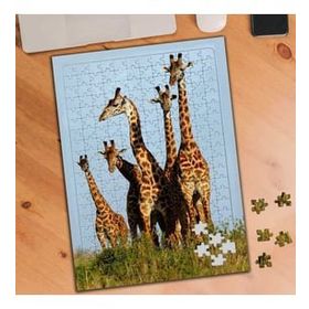 Asilmeydan 456185322 240 Parça Arazide Zürafa Ailesi Puzzle Yapboz Tablo