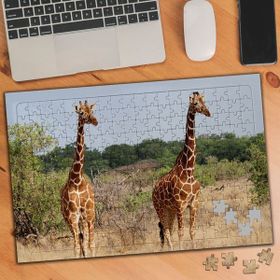 Asilmeydan 456186199 240 Parça Sevimli Hayvan Zürafalar Puzzle Yapboz Tablo