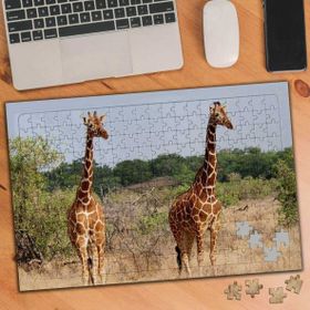 Asilmeydan 456186199 240 Parça Sevimli Hayvan Zürafalar Puzzle Yapboz Tablo