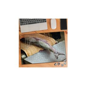 Asilmeydan 456201587 240 Parça Deniz Canlısı Balıklar Puzzle Yapboz Tablo