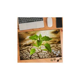 Asilmeydan 456239881 240 Parça Kurak Çölde Açan Bitki Puzzle Yapboz Tablo