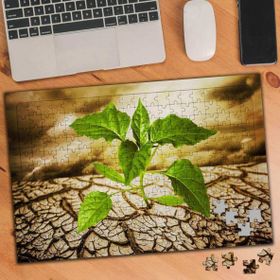 Asilmeydan 456239881 240 Parça Kurak Çölde Açan Bitki Puzzle Yapboz Tablo