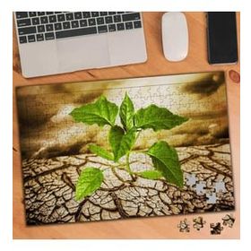 Asilmeydan 456239881 240 Parça Kurak Çölde Açan Bitki Puzzle Yapboz Tablo