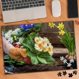 Asilmeydan 456241101 240 Parça Bahçe Bitki Bakımı Puzzle Yapboz Tablo