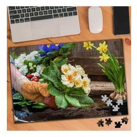 Asilmeydan 456241101 240 Parça Bahçe Bitki Bakımı Puzzle Yapboz Tablo