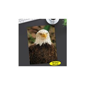 Asilmeydan 456469774 240 Parça Vahşi Doğa Kuşu Kartal Puzzle Yapboz Tablo