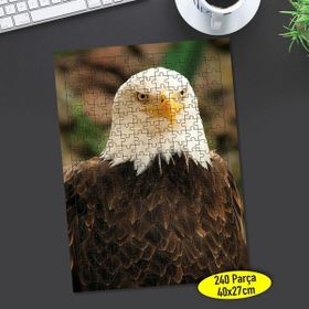 Asilmeydan 456469774 240 Parça Vahşi Doğa Kuşu Kartal Puzzle Yapboz Tablo