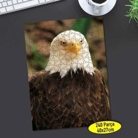 Asilmeydan 456469774 240 Parça Vahşi Doğa Kuşu Kartal Puzzle Yapboz Tablo