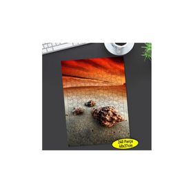 Asilmeydan 456473999 240 Parça Sahilde Deniz Kabukları Puzzle Yapboz Tablo