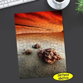 Asilmeydan 456473999 240 Parça Sahilde Deniz Kabukları Puzzle Yapboz Tablo