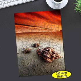 Asilmeydan 456473999 240 Parça Sahilde Deniz Kabukları Puzzle Yapboz Tablo