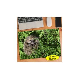 Asilmeydan 456538774 240 Parça Sevimli Uyuyan Kirpi Puzzle Yapboz Tablo